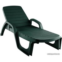 Шезлонг Элластик-Пласт Прованс 190x70x32 (темно-зеленый)