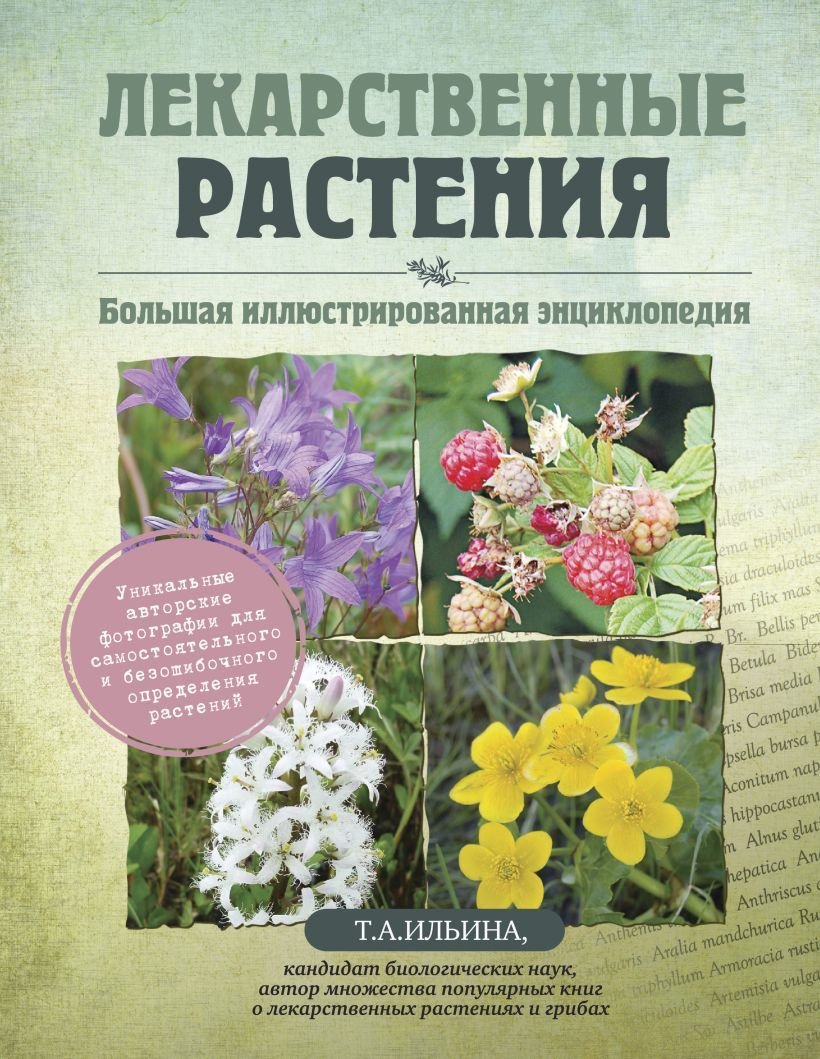 

Книга издательства Эксмо. Лекарственные растения. Большая иллюстрированная энциклопедия (Ильина Татьяна Александровна)