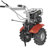 Мотоблок бензиновый Парма МБ-04.1-7.0/6 БK в Бресте