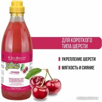 Шампунь Iv San Bernard Fruit Of The Groomer Black Cherry Shampoo (1 л)