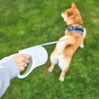 Поводок-рулетка Petkit Go Shine (3 м)
