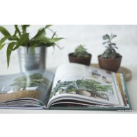Книга издательства МИФ. Urban Jungle. Как создать уютный интерьер с помощью растений