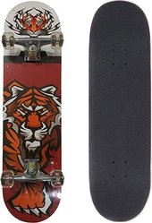 Skateboard 31