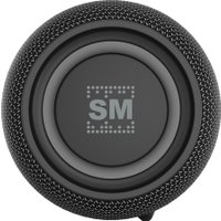 Беспроводная колонка Soundmax SM-PS5026B (черный)