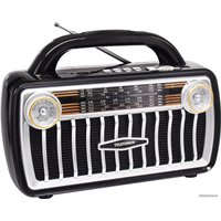 Радиоприемник TELEFUNKEN TF-1695UB