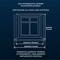 Рулонные шторы Franc Gardiner Blackout Dublin 55x160 6530338 (бежевый)