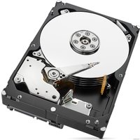 Жесткий диск Seagate IronWolf Pro 4TB [ST4000NE0025]