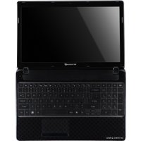 Ноутбук Packard Bell EasyNote TV11HC-33126G75Mnks (NX.C21ER.007)