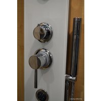 Душевая панель Leroy Glass Line spout