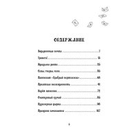 Книга издательства Питер. Петронелла и фестиваль волшебников (Штэдинг С.)