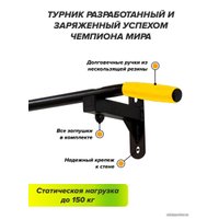 Турник Absolute Champion HIT (черный/желтый)