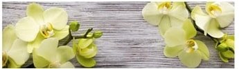 

Фронтальный экран под ванну Comfort Alumin Древесная орхидея 1.7
