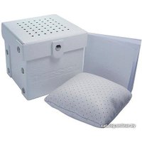 Наручные часы Diesel DZ1858