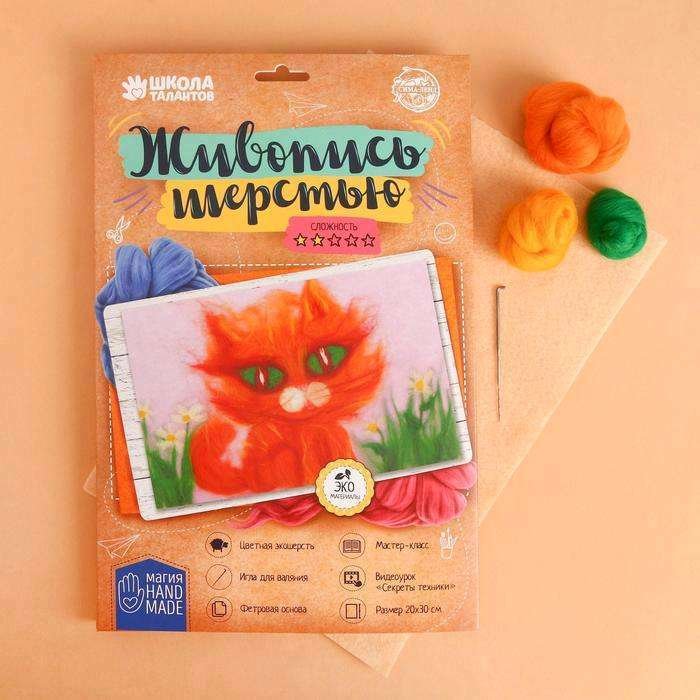 

Набор для создания поделок/игрушек Школа талантов Живопись шерстью. Кот 1809783