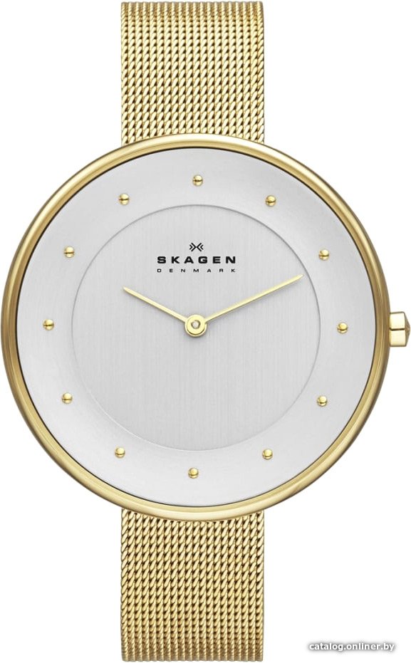 Наручные часы Skagen SKW2141