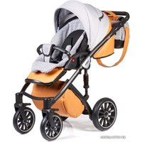 Универсальная коляска Anex Sport Q1 (3 в 1, Sp14)