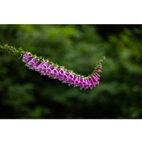 Объектив Sigma 28-105mm F2.8 DG DN Art для Leica L