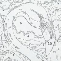 Картина по номерам MultiArt CANV28X20-117477