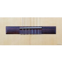 Акустическая гитара Camps M-1-S