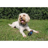 Игрушка для собак Rosewood Палка мигающая 40341/RW