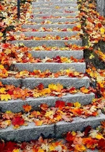 Набор для создания поделок/игрушек Darvish Осенняя лестница DV-15479-4