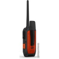 Ошейник с GPS-трекером Garmin Alpha 200i/TT15 010-02230-С2