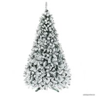 Ель Dommelochi Аврора 2.5 м