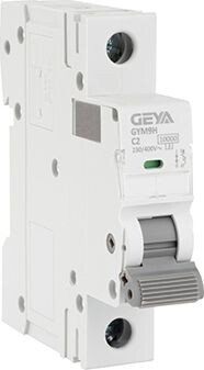 

Выключатель автоматический GEYA GYM9H-1P-2C 1P 2A C 10kA 1M GYM9H1P2C