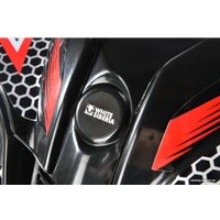 Квадроцикл White Siberia Sneg Pro R 3000W