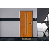 Металлическая дверь Gerda WX 10