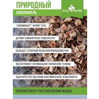 Спальная подушка Smart Textile Золотая пропорция 40x60 E796 (лузга гречихи, голубой)