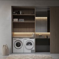 Сушильная машина ASKO T409HS.W