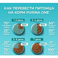 Сухой корм для кошек Purina ONE для домашних с индейкой и цельными злаками 1.5 кг в Бресте