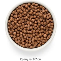 Сухой корм для собак Grandorf Adult Mini Breeds Fresh Salmon&Sweet Potato 3 кг