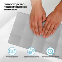 Подголовник для ванны Wellsee Useful Extras 261909000