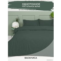 1.5-спальный комплект постельного белья Василиса 1.5 300220 (шторм)