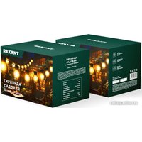 Новогодняя гирлянда Rexant Эбби 602-2419