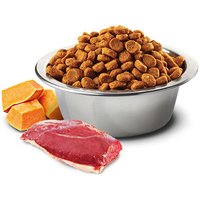 Сухой корм для кошек Farmina N&D Cat Pumpkin Duck, Pumpkin and Cantaloupe Melon Adult (утка, тыква, мускусная дыня) 300 г