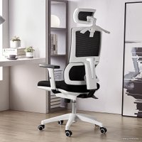 Офисное кресло Evolution Model T Snow (белый/черный)