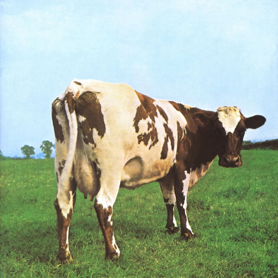 

Виниловая пластинка Pink Floyd - Atom Heart Mother