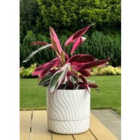 Вазон Polnix 07.148.13 (белый)