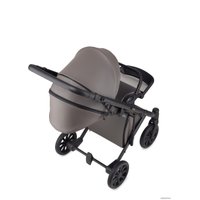 Универсальная коляска Anex E/type 2022 (2 в 1, gothic et-03A)