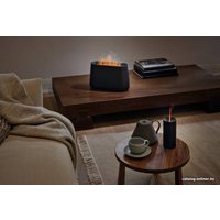 Увлажнитель воздуха Stadler Form Ben (черный)