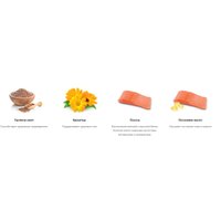 Сухой корм для собак Nature's Protection Vet Diet Dermatosis Salmon NPSCVET47580 1.5 кг