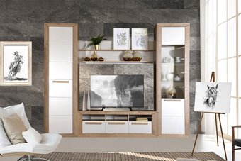 Заречье Бостон гостиная (дуб ривьера/жемчуг глянцевый)