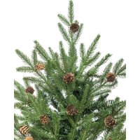 Ель Winter Time BX06-1842T 1.75 м