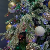 Новогодняя гирлянда Uniel Роса ULD-S10000-1000/DGA UL-00012090 (разноцветный)