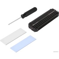 Бокс для накопителей M.2 SilverStone MS12