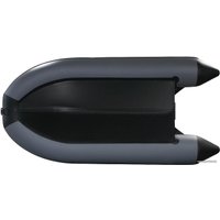 Моторная лодка Prof Marine PM 350 CL