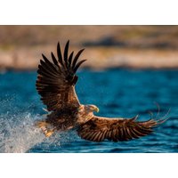 Фотообои Белобои FA-0108-L (150x208)